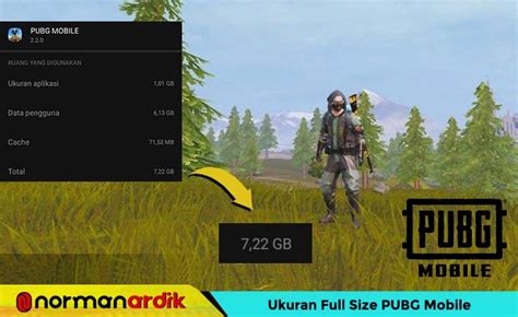 full size pubg mobile 2022 yang Gold instan delivery ajak Anda voucher magic item sehingga gratis voucher promo permata musiman secara anytime image 1