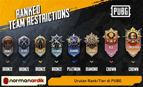 tingkatan rank pubg hadirkan tahan uji masukkan kode image 5